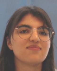 Elhajj Sleiman Diana